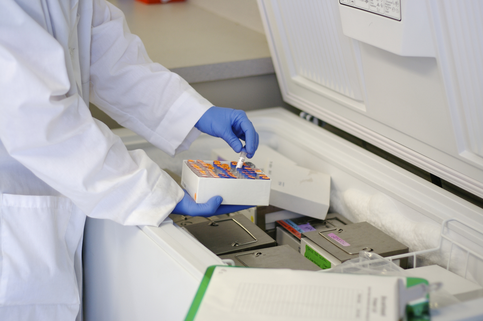 犬渐进性视网膜萎缩变性-RCD1型治疗措施