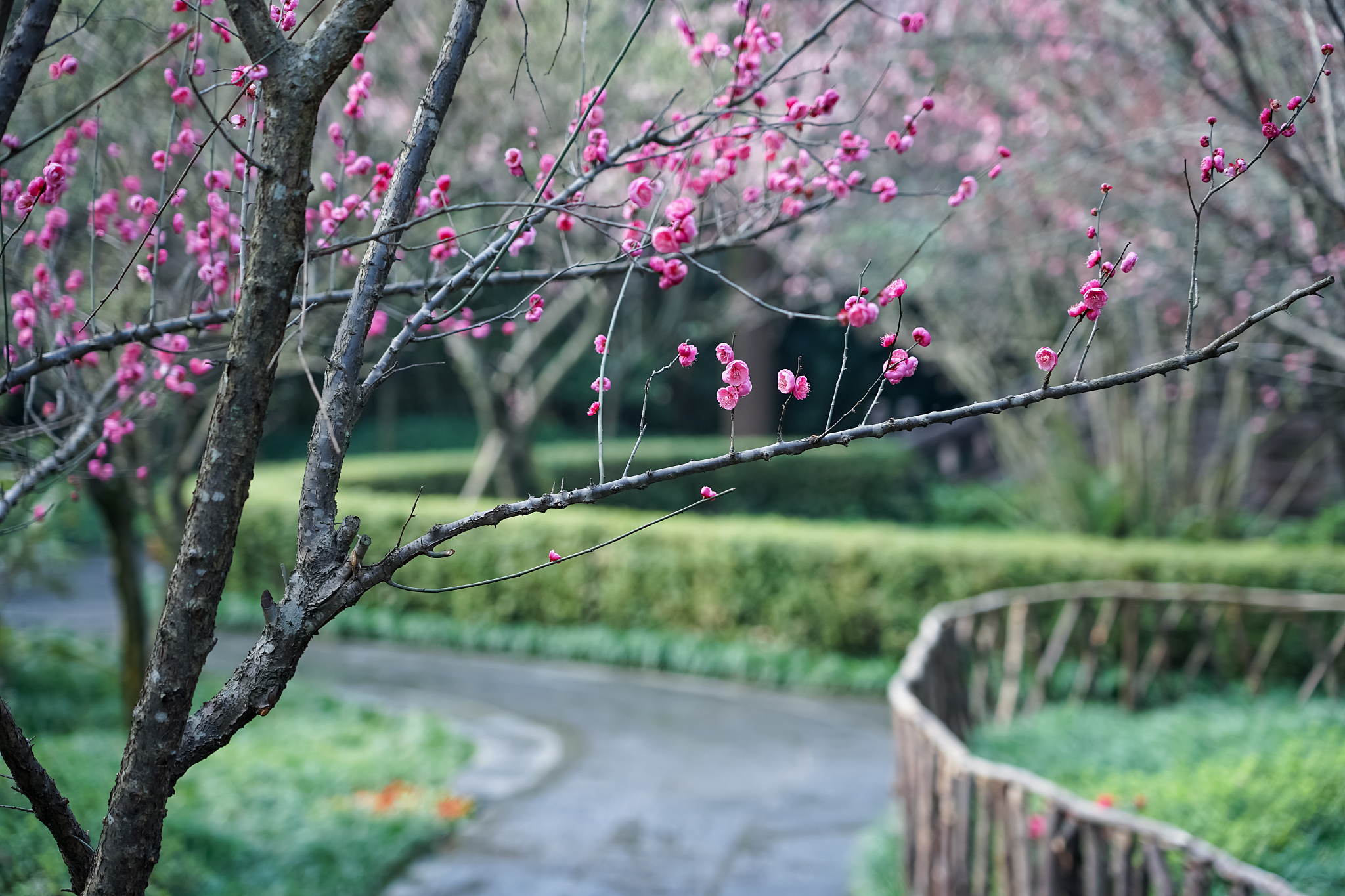 表达走过一条小路后发现别样的景致的古诗词