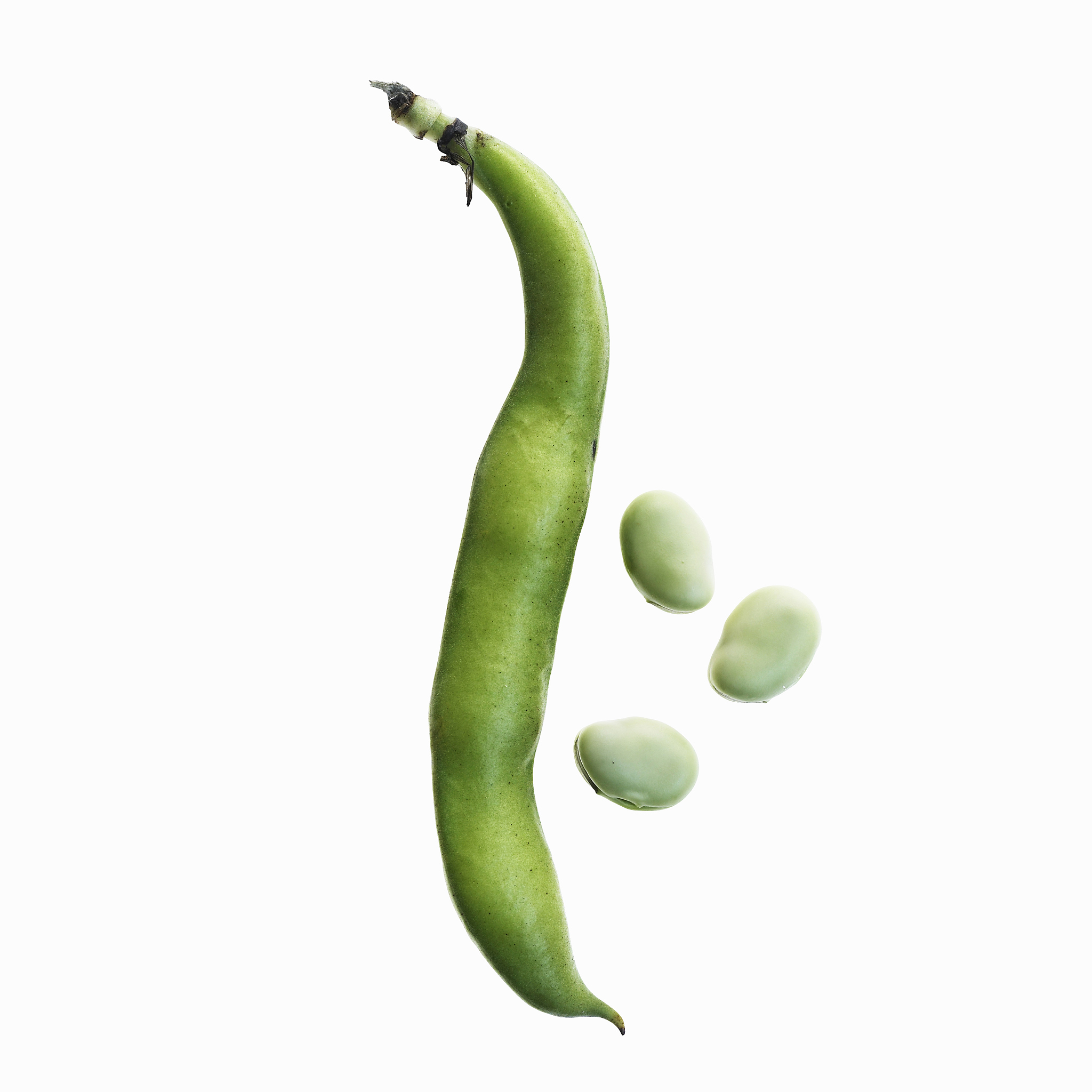 植物pod数量计算方法详解