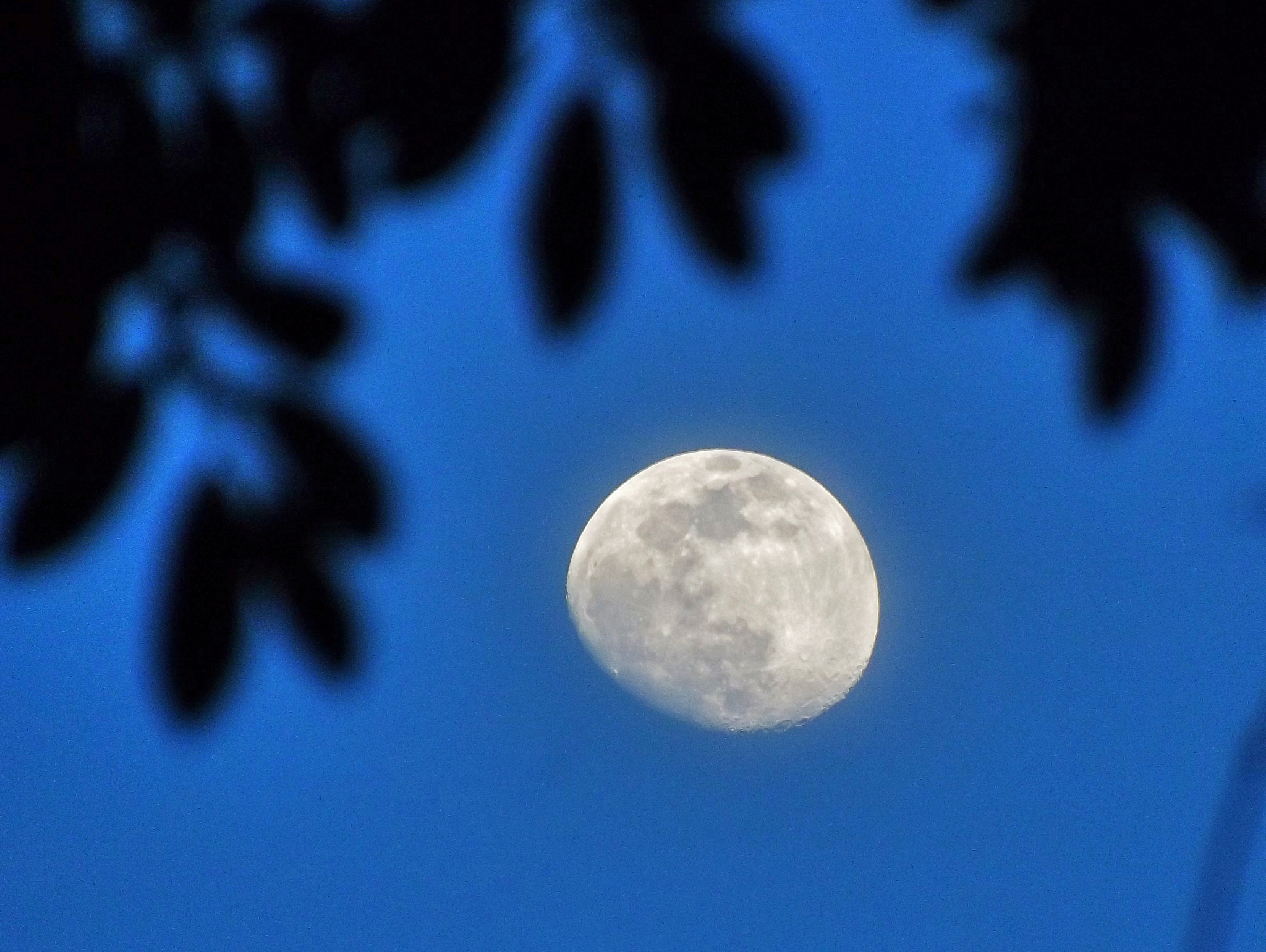 中秋节诗句：赏月思乡，共度佳节