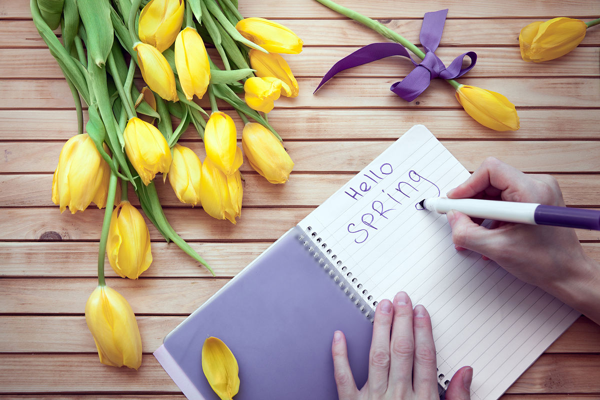 请不要出现春天写一篇关于春天的300字左右的作文