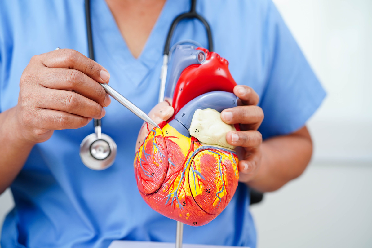 人体只有一个心脏，但可以正常生活吗？