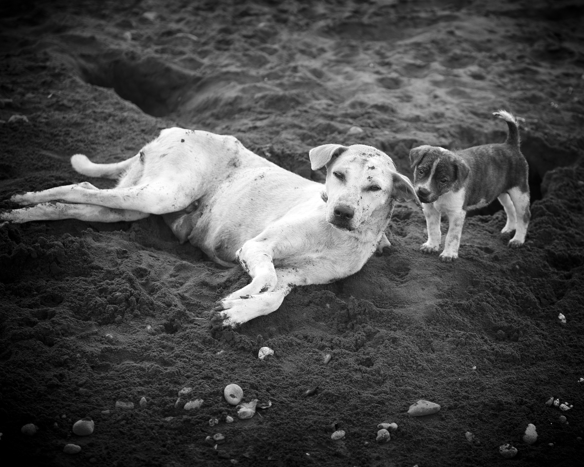 你能够写故事吗？