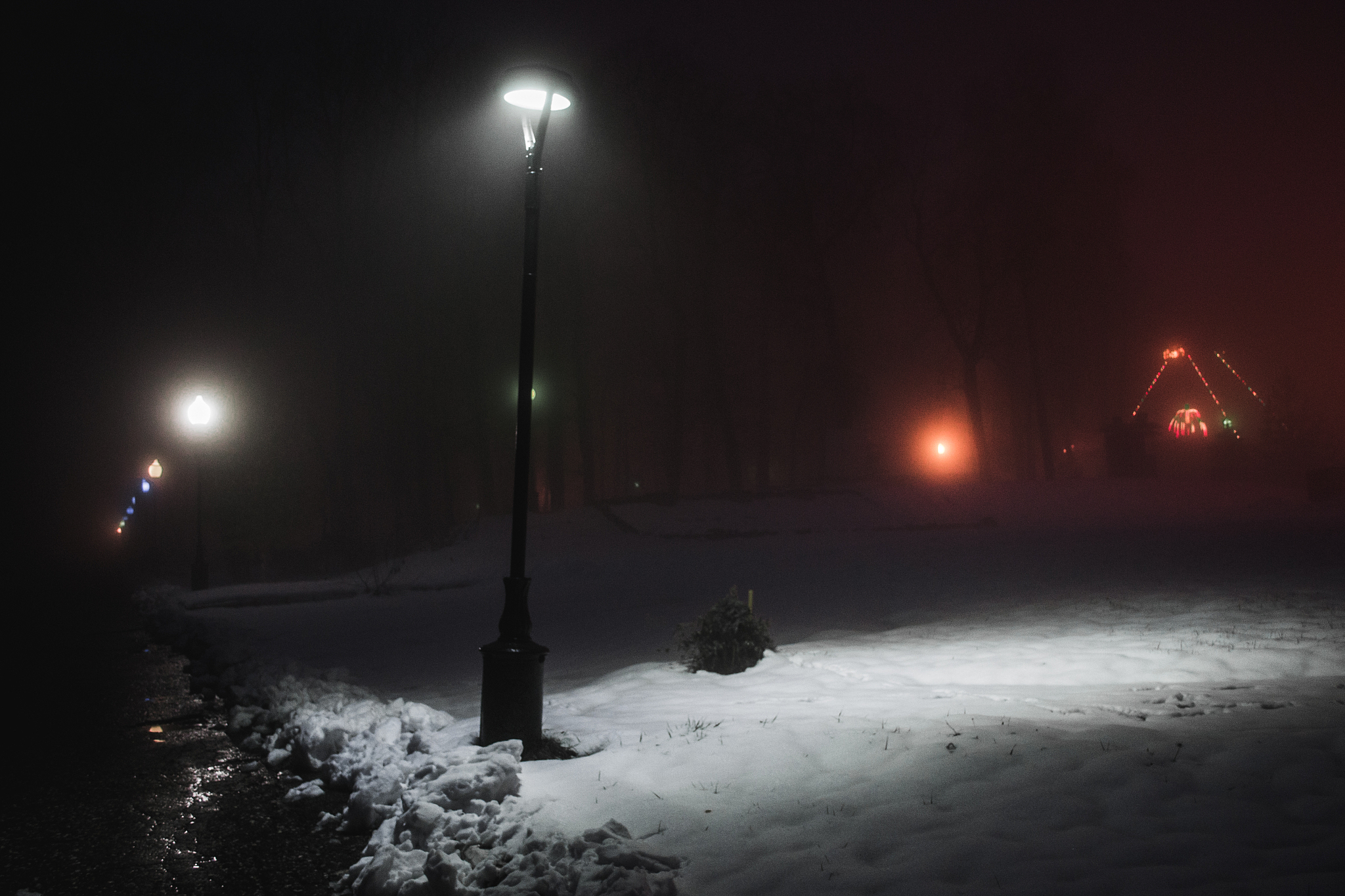 night