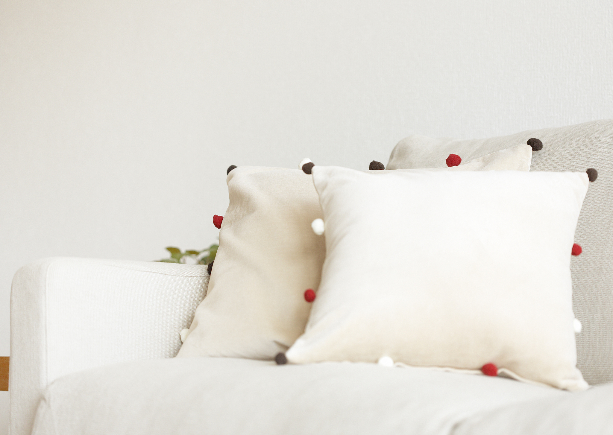 cushion