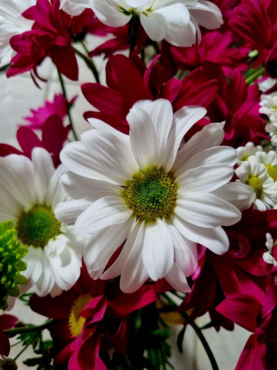 Dried Pressed Flowers: A Guide to Preservation and Uses