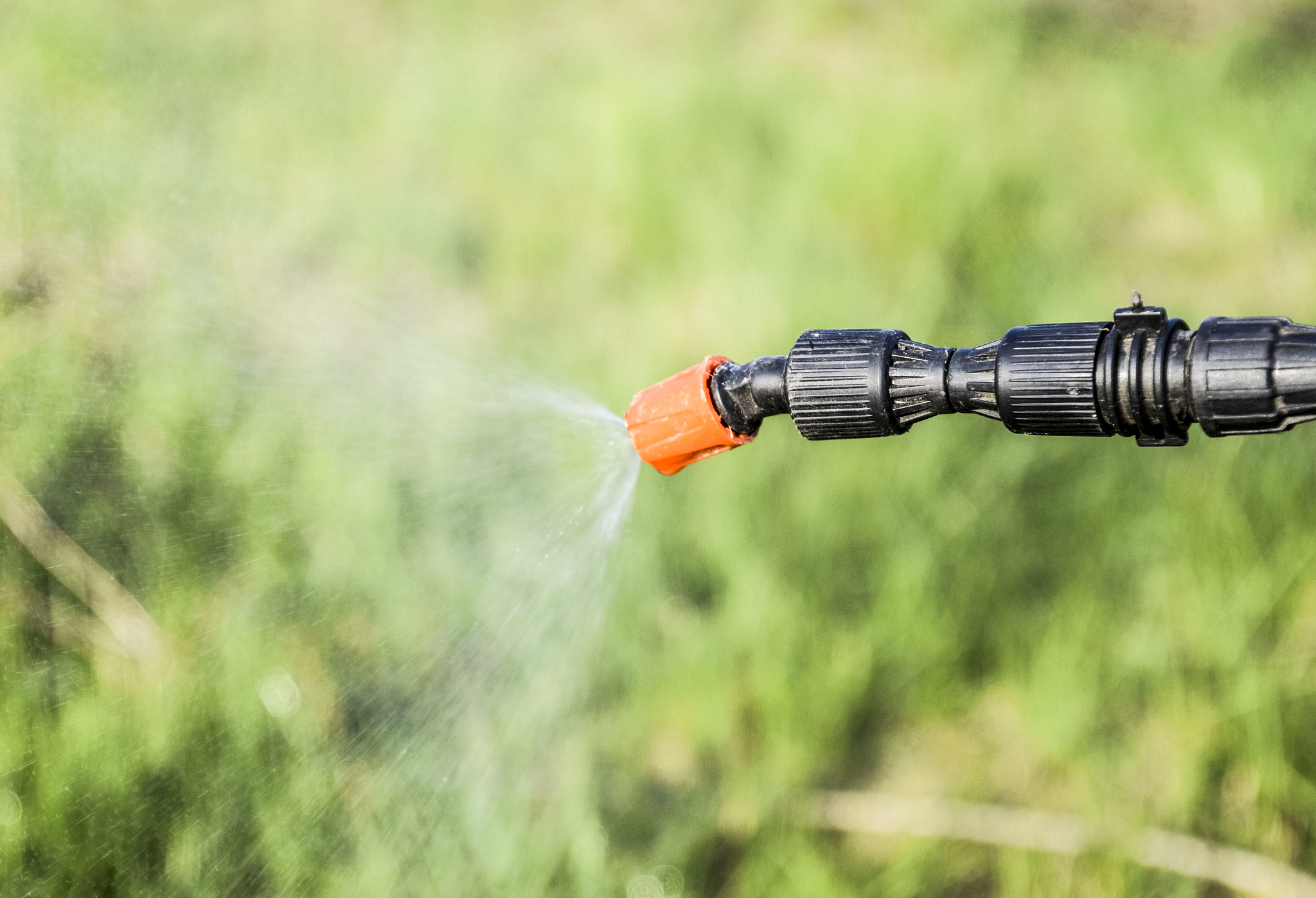 草甘膦误打到2米高的小杨树叶上有伤害吗