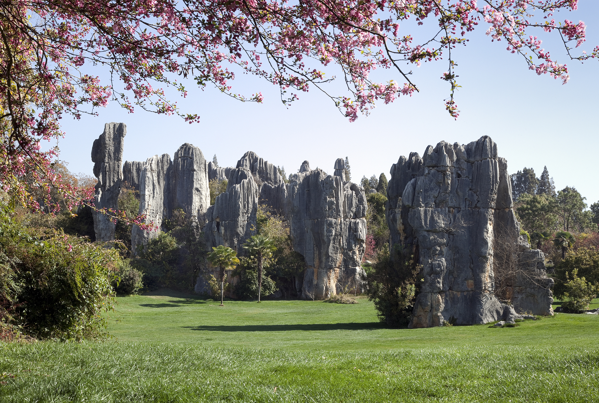 stone forest, kunming, china