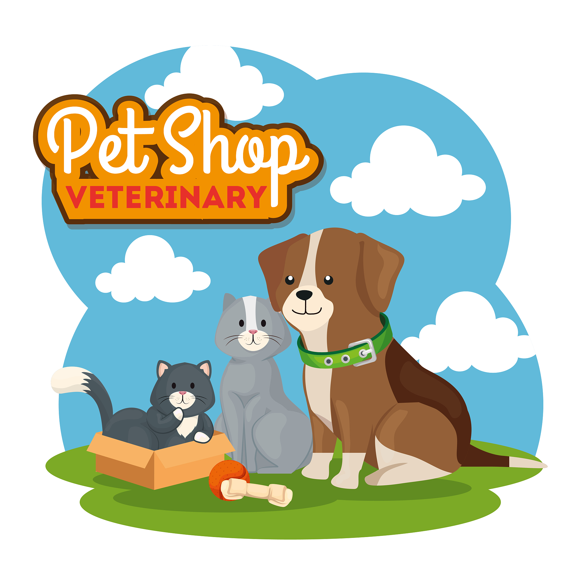Pet Hammock: The Perfect Snuggle Spot for Your Furry Friend