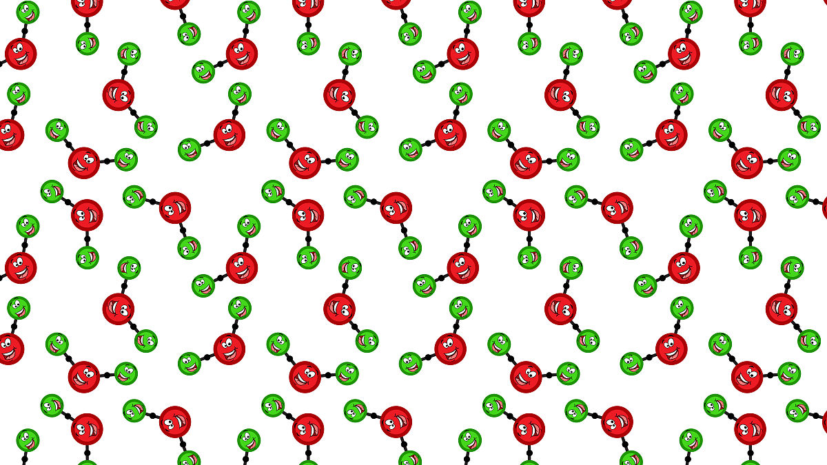 2H2O 的化学意义：水分子及其特性