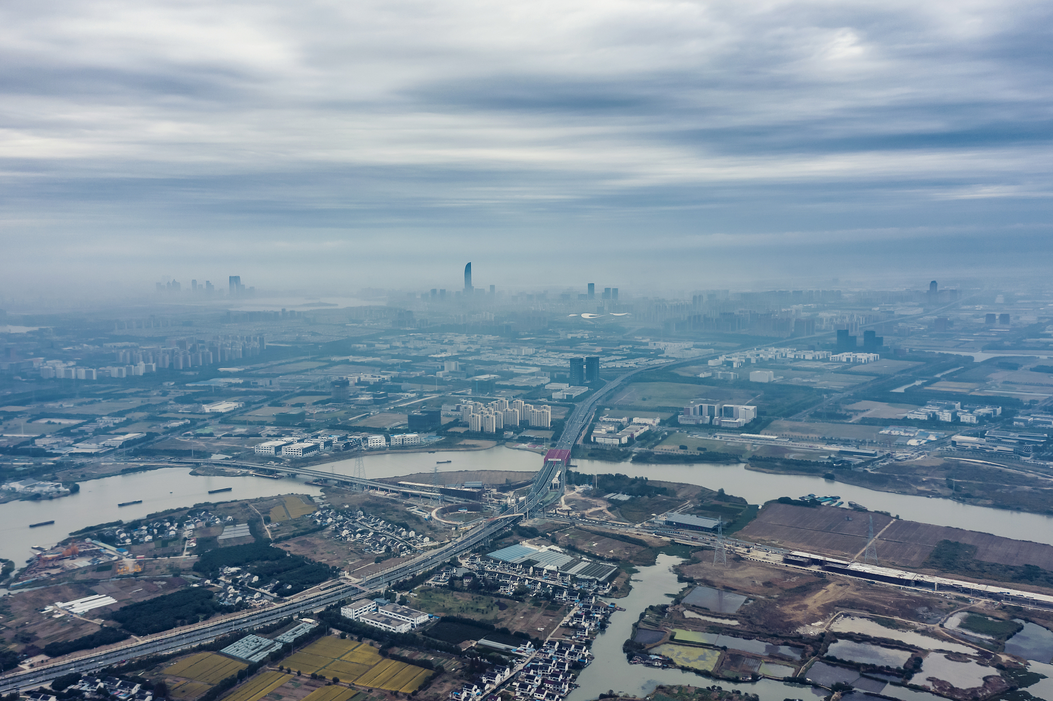 转基因大豆的风险评估。