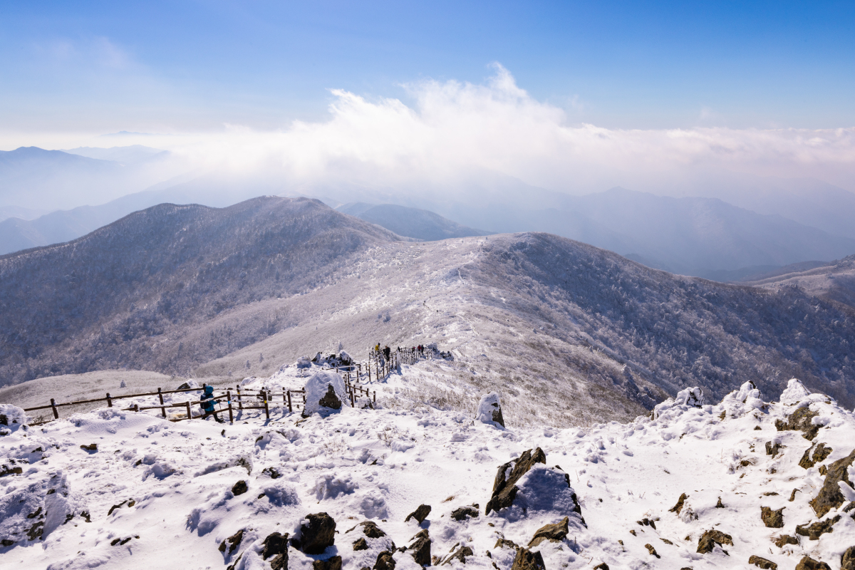 昆明轿子雪山,你不可错过的自然奇观!