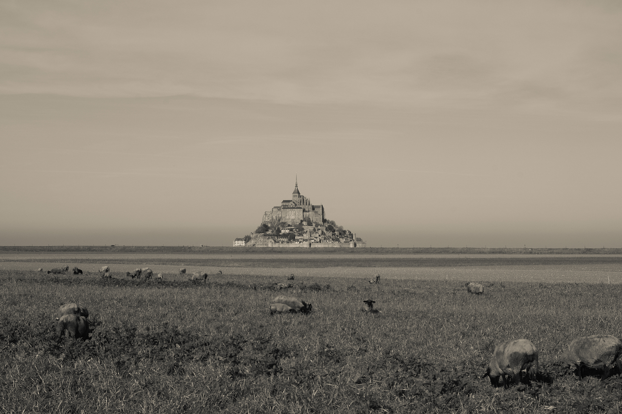 一个国家的军事发展可以从几个维度来描述