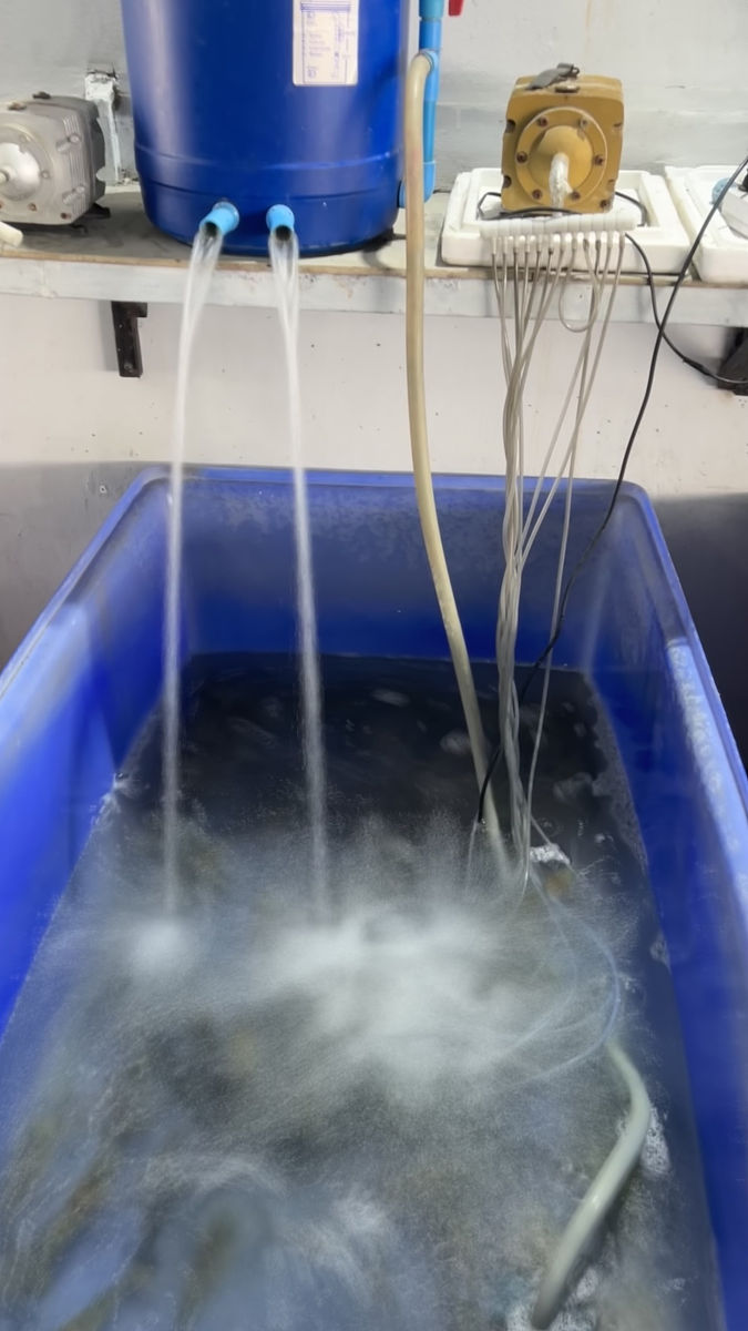 做了一个口姑栖息装置的研发写一个项目概述可拆分为产品描述、用户群体 项日愿景、竞争对手等方面洋细描述省景是近年来口虾姑由于多方面原因资源京退严重急需增殖以恢复其资源。核心是本项目旨在提高口虾姑的栖息密度增加口虾栖息空间的装置应用于口虾姑养殖以及繁育用亲体的暂养过程中并可将最终成果要时可举办相关主题展览邀请有关专业人士对作品价值及市场前景进行综合评估。