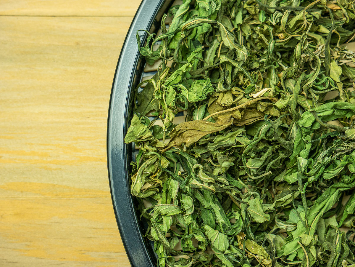 医学营养专业好不好