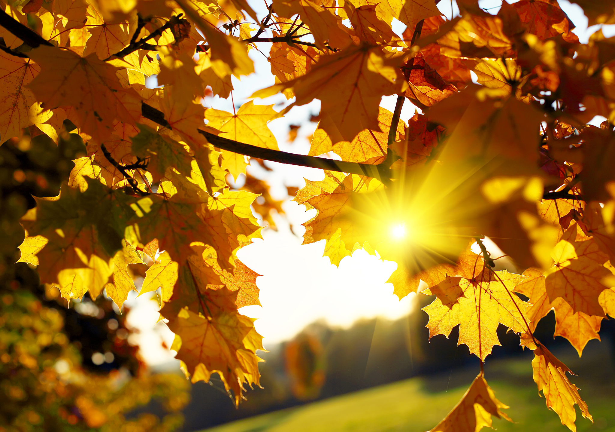 温暖的秋天，明亮的眼睛：献给你的祝福