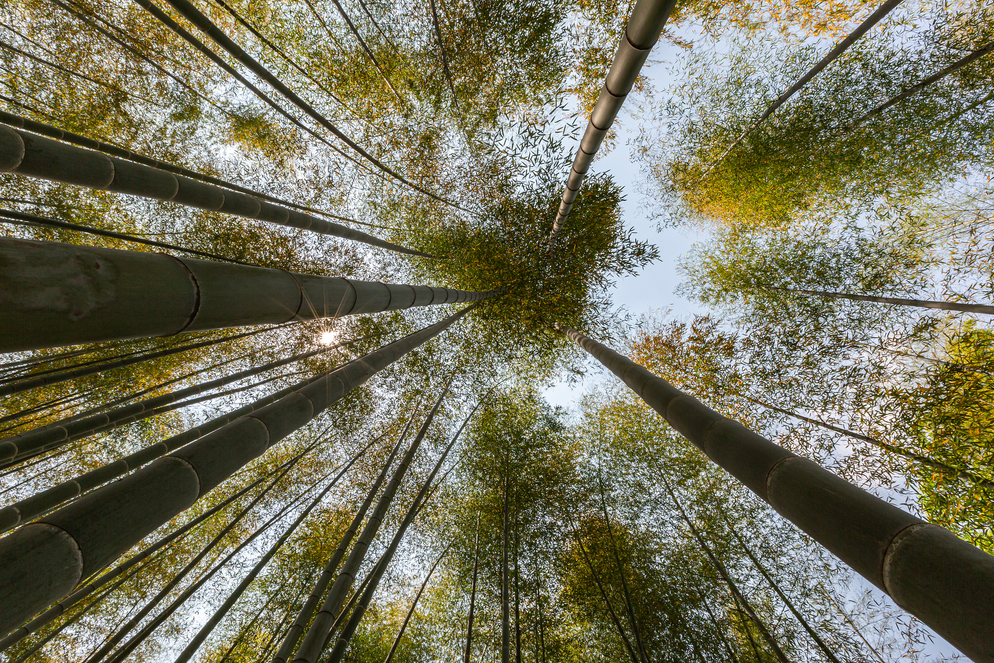 帮我安排一个行程 细分到时间点 上海到宜兴 竹海两日游。