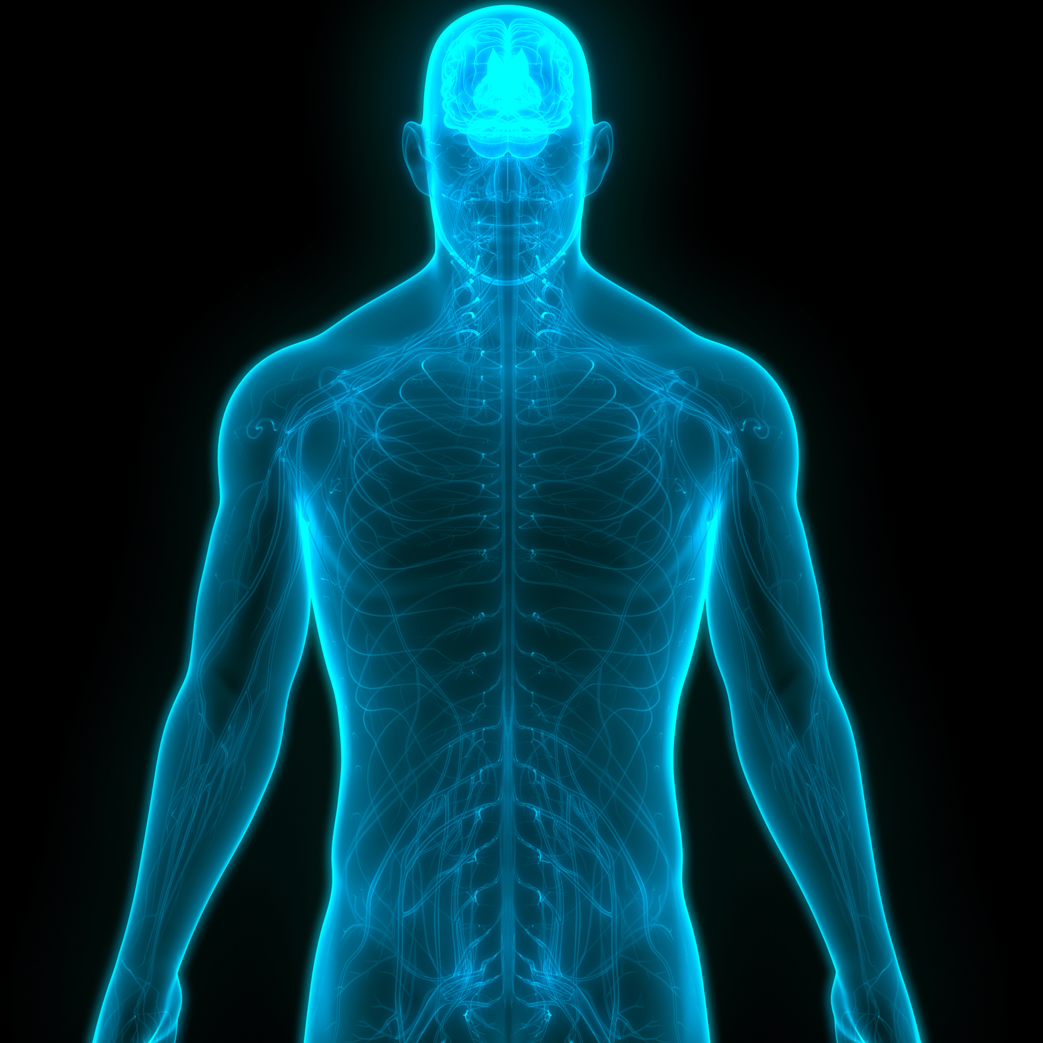 浙江中医药大学滨江学院针灸推拿学专业必备知识