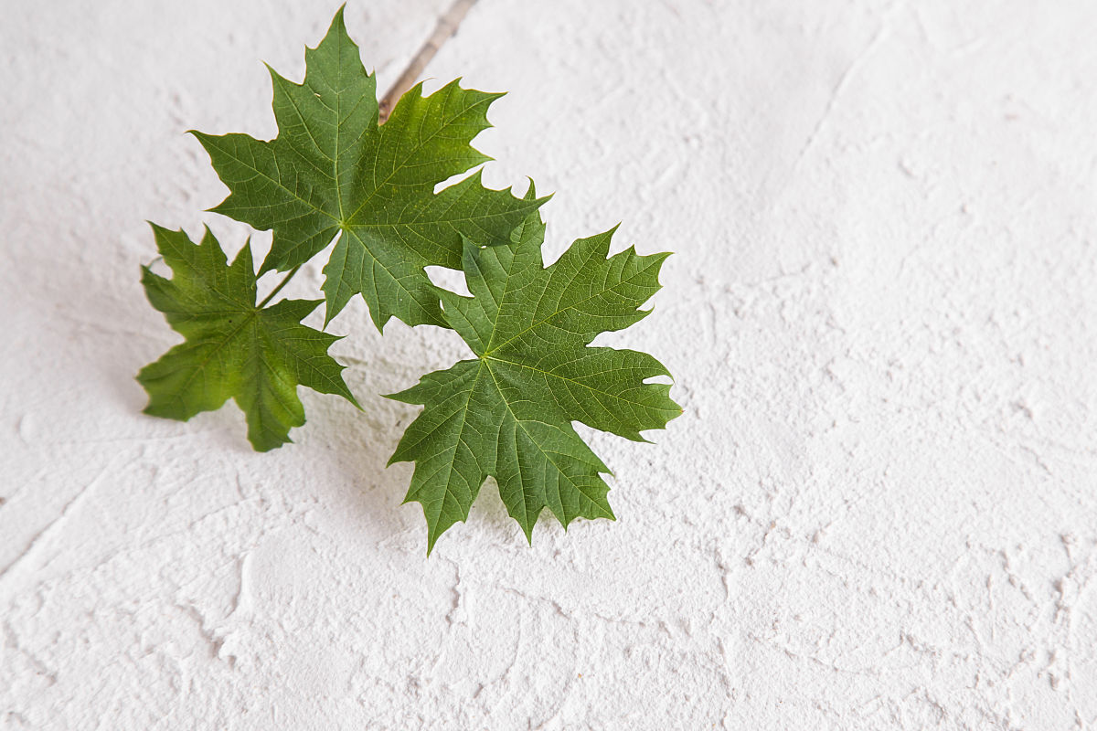 兰州石化职业技术学院高聚物生产技术专业：发展前景广阔，未来可期！