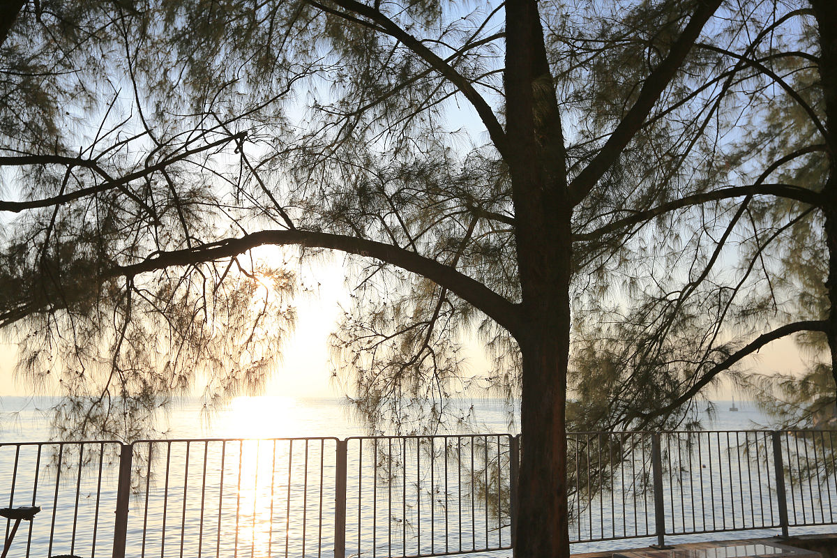 10和18的最小公倍数