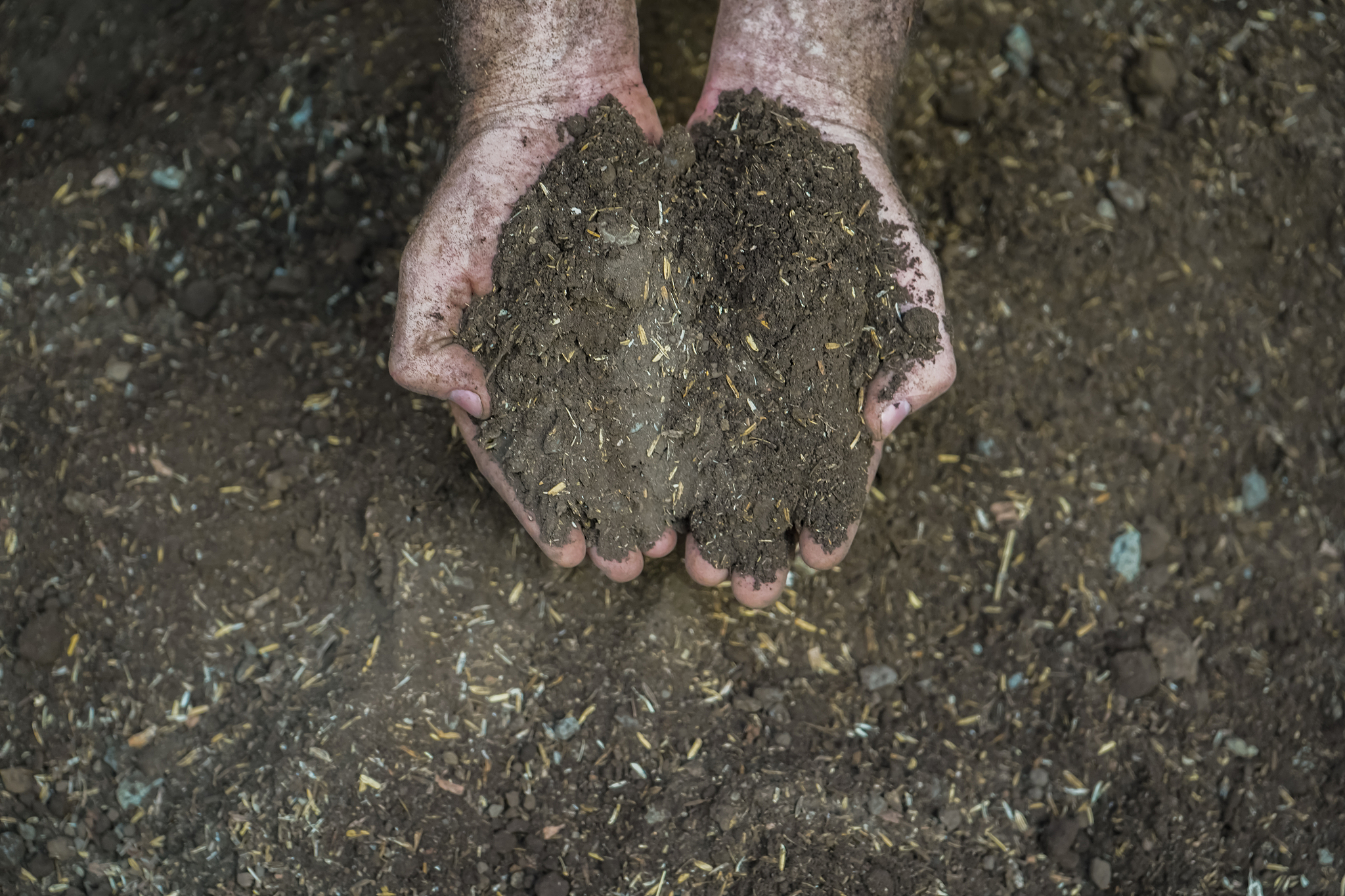 重庆三峡职业学院植物保护与检疫技术专业都学些什么