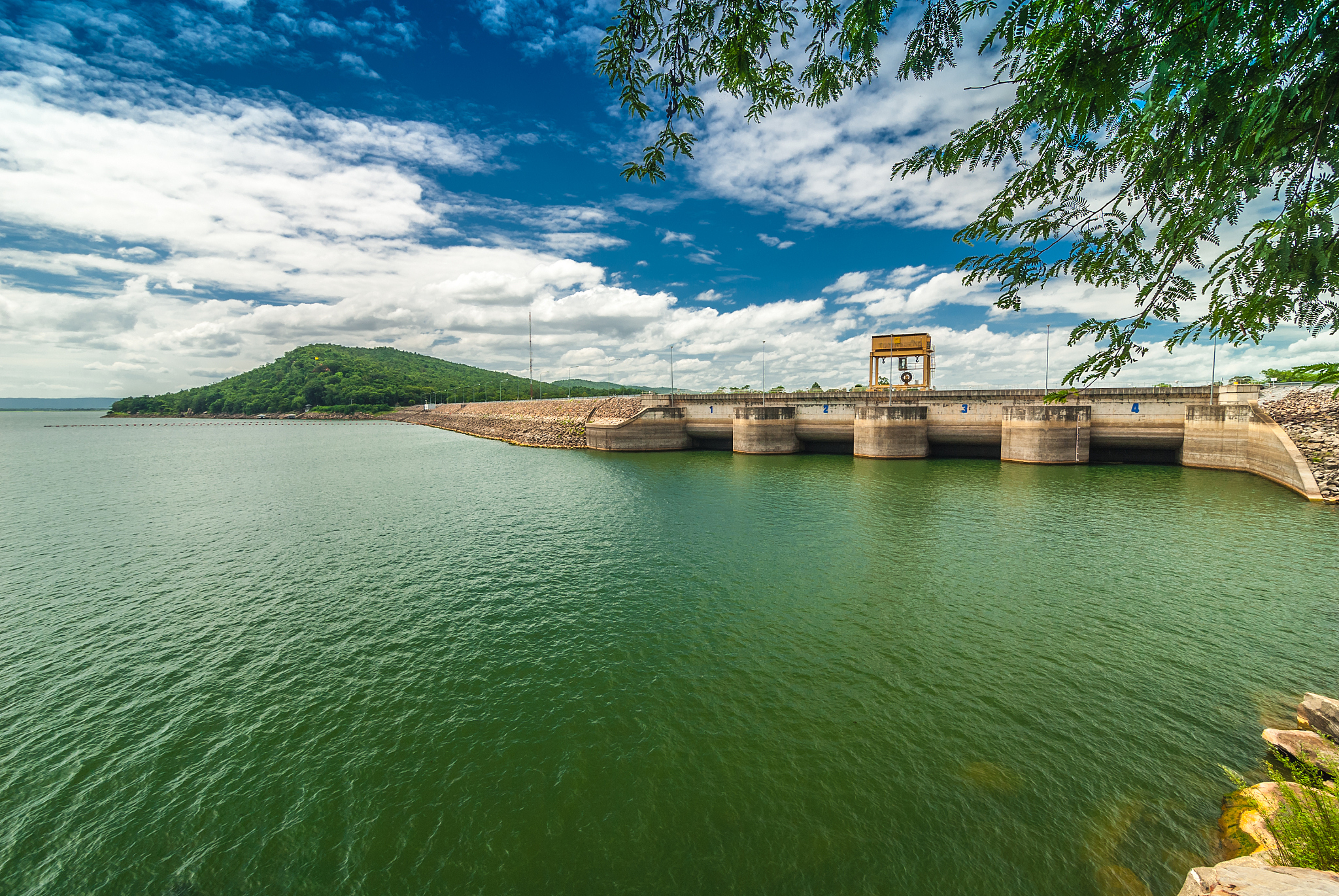 将写《威海市文登区米山水库集中饮用水水源地 保护工程工程总承包项目投标书》写成实践记录汇报