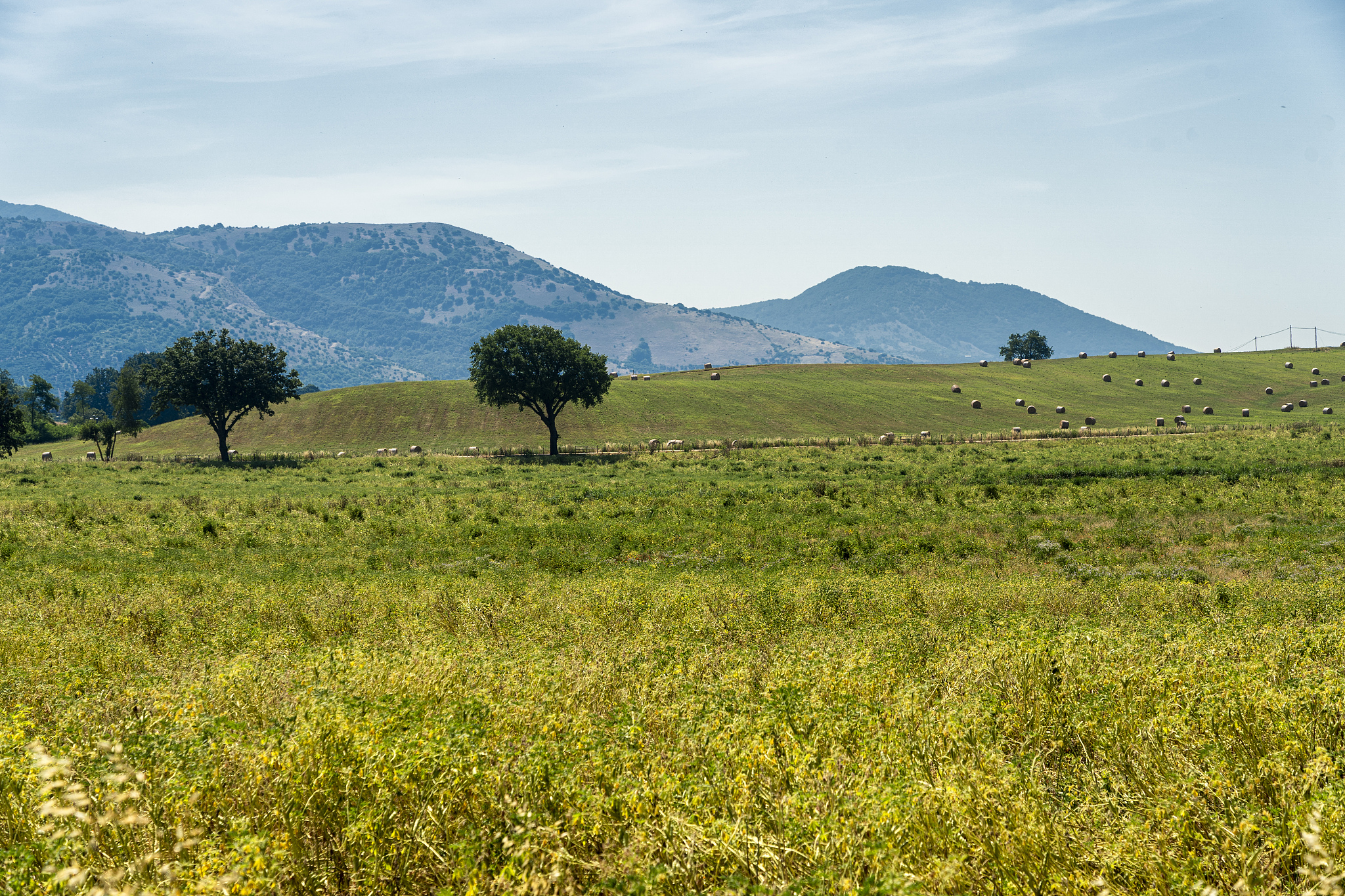 曲靖农业学校2019年五年制最新招生信息