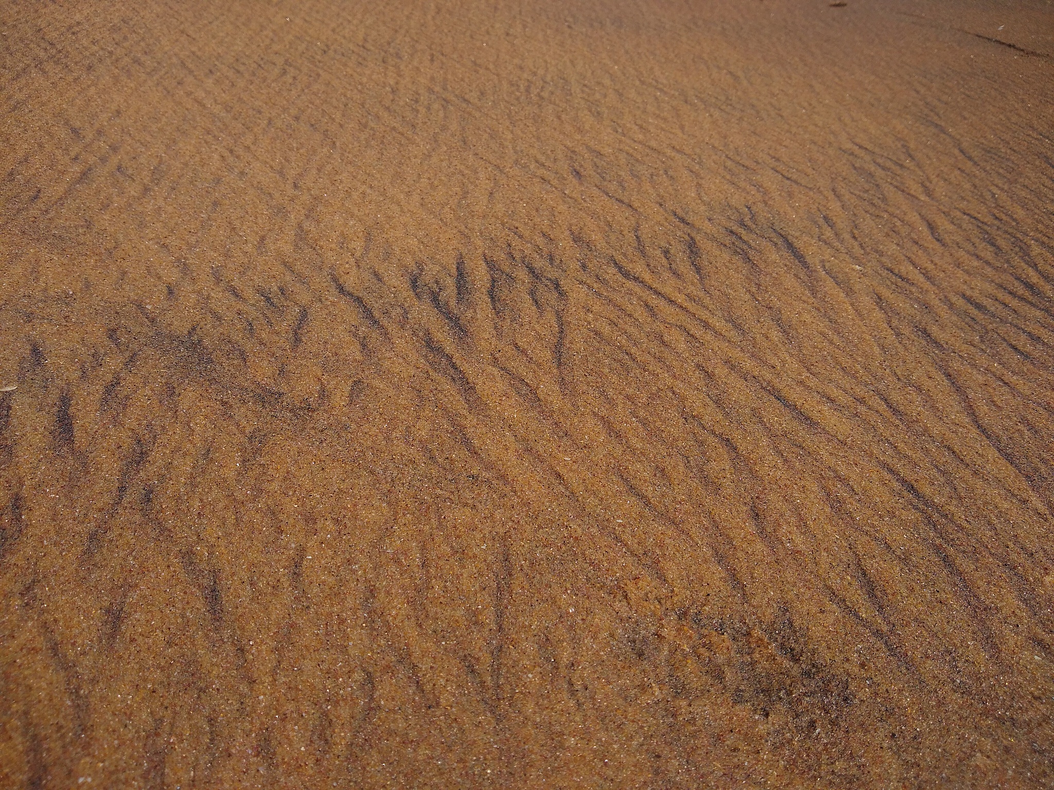 rough sand pattern on the beach