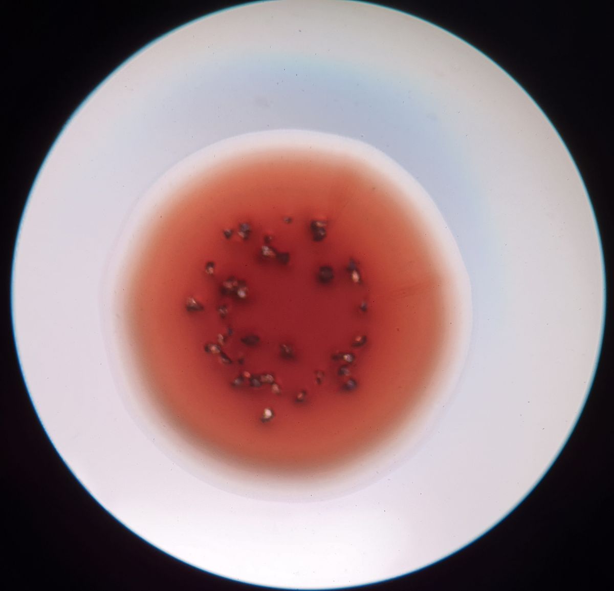 本研究为微生物定量风险评估应用于水安全管理提供案例