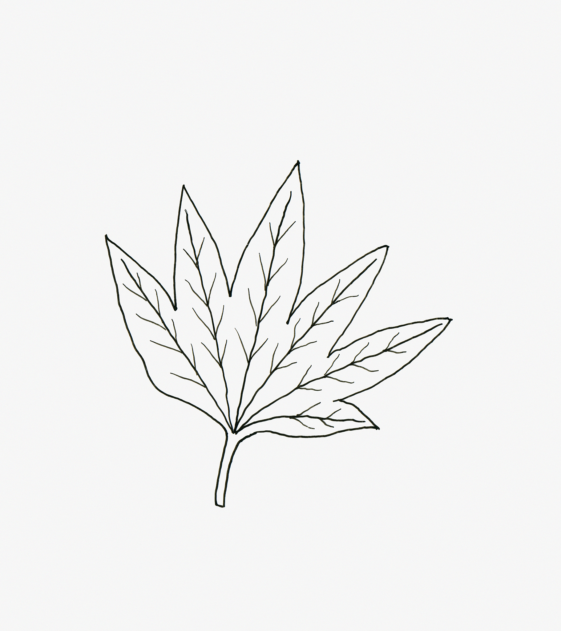 扇形面积计算公式 - 如何计算扇形面积