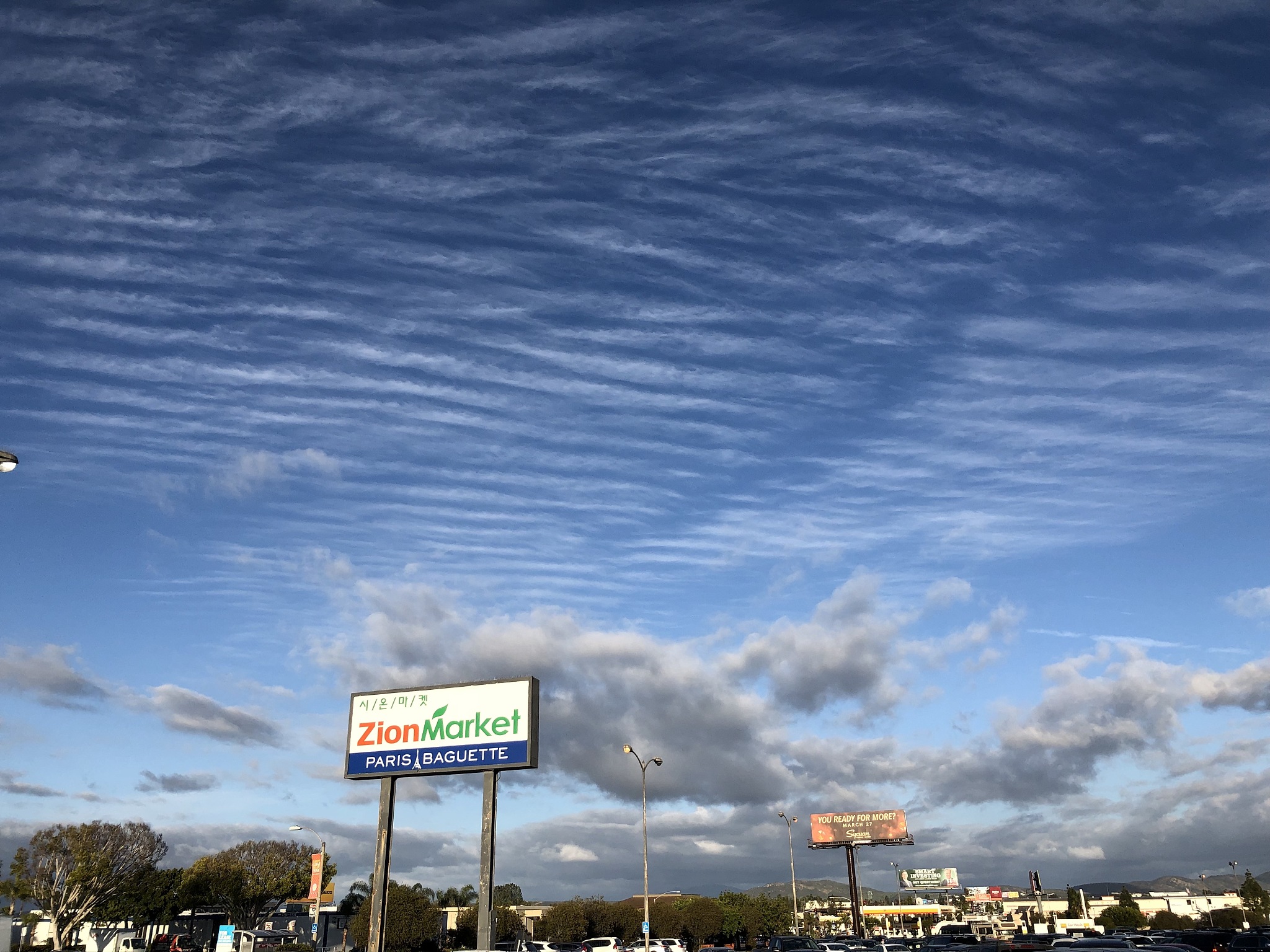 你是一位情感大师请问失恋就会失去一切了吗？如果失恋了该怎么办？