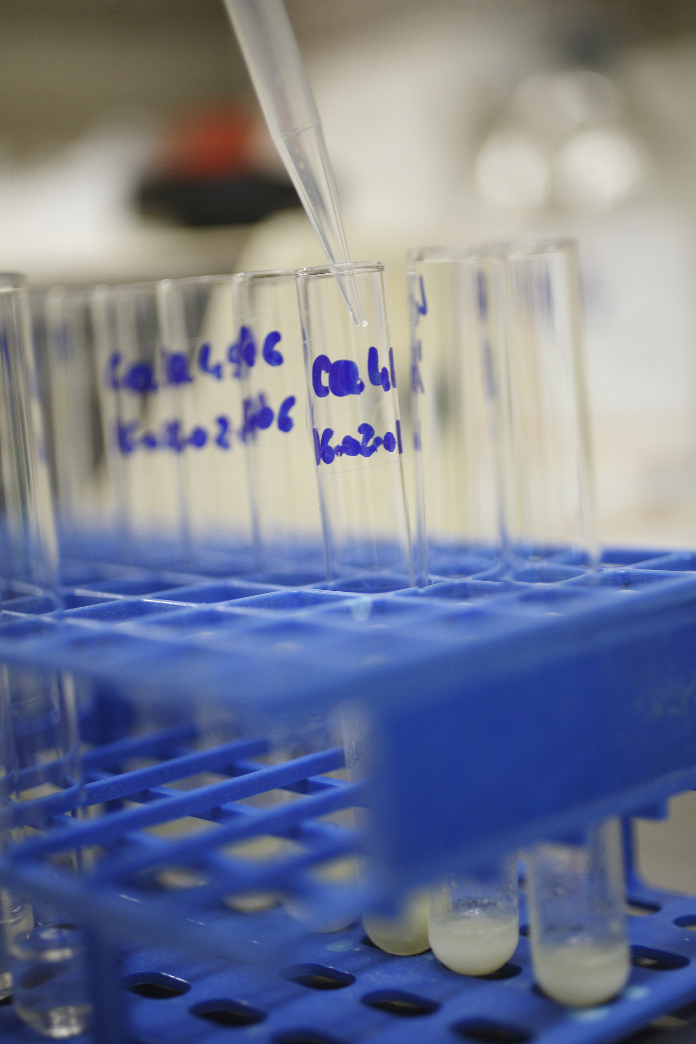 脱细胞基质处理步骤：胃蛋白酶、盐酸调节pH和长时间搅拌的意义