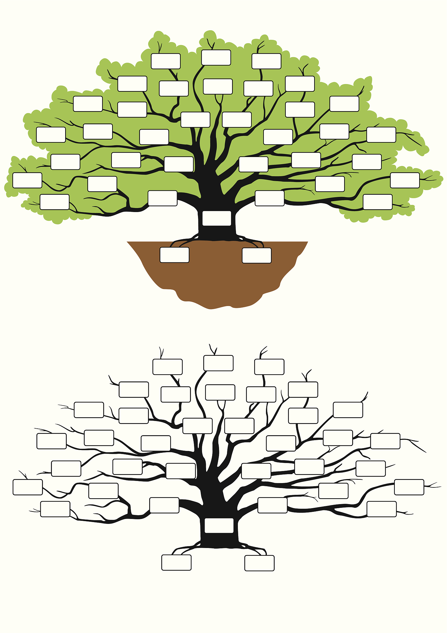 family tree