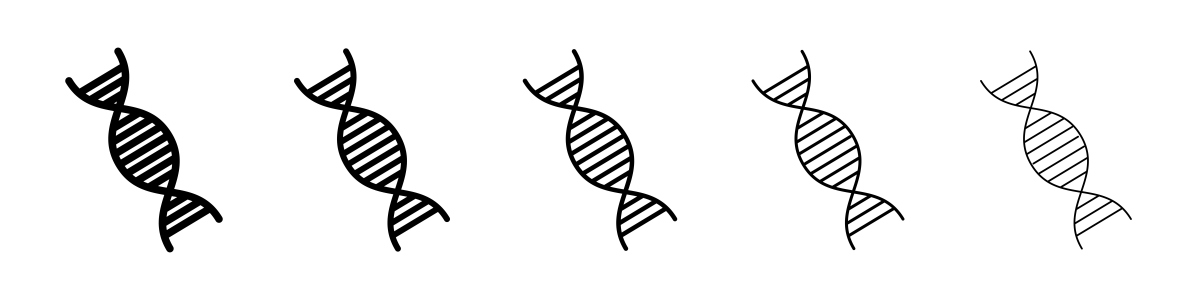 重组DNA的基本构建过程是将 任意两段DNA接在一起外源DNA接入人体DNA目的基因接人适当载体外源基因接人宿主基因