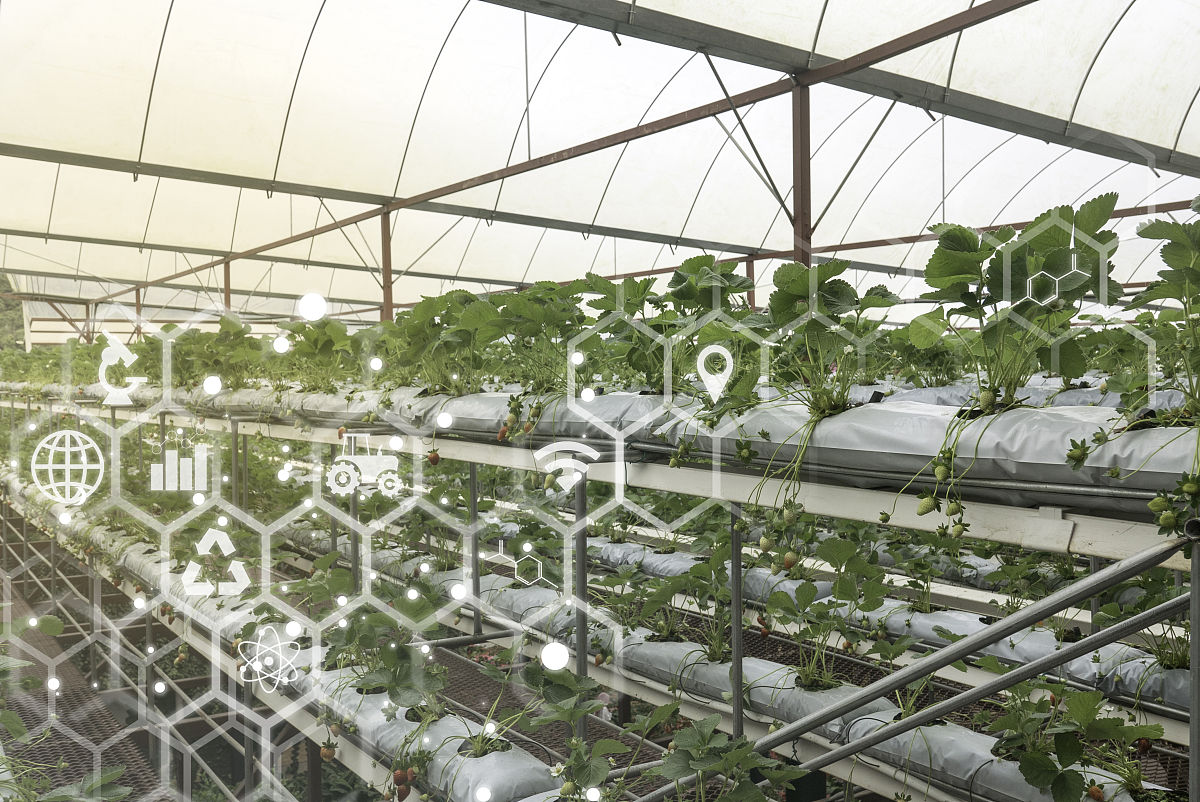 未来科技农场名字大全：创意十足，引领潮流！