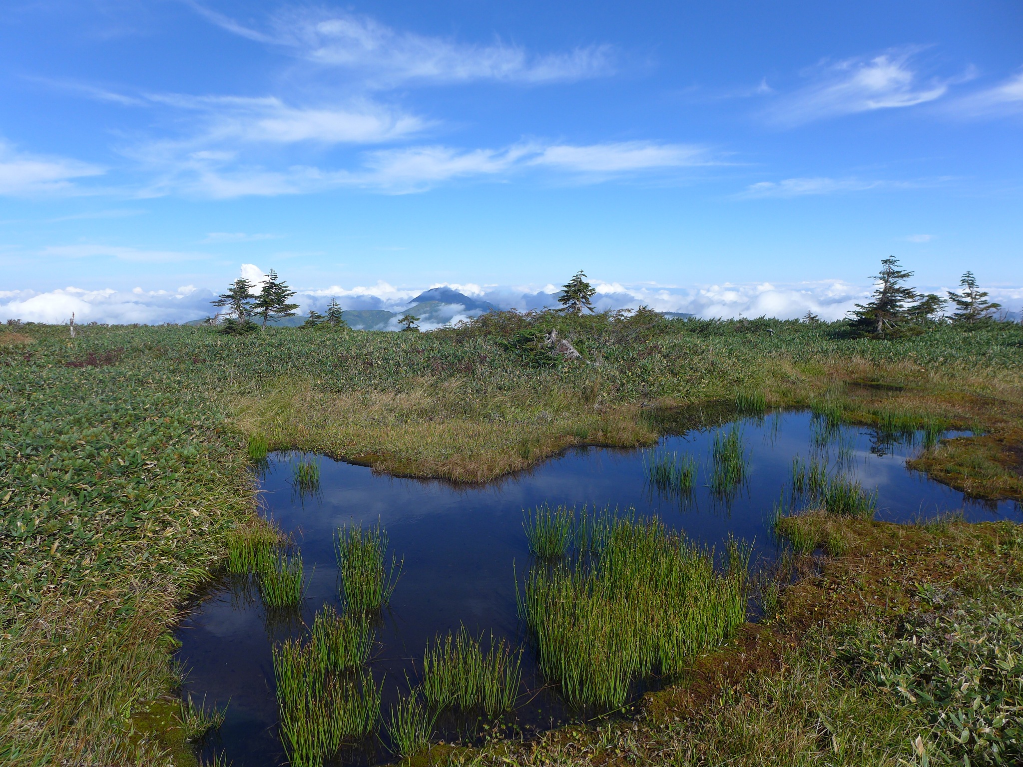 什么是自然保护地管理？