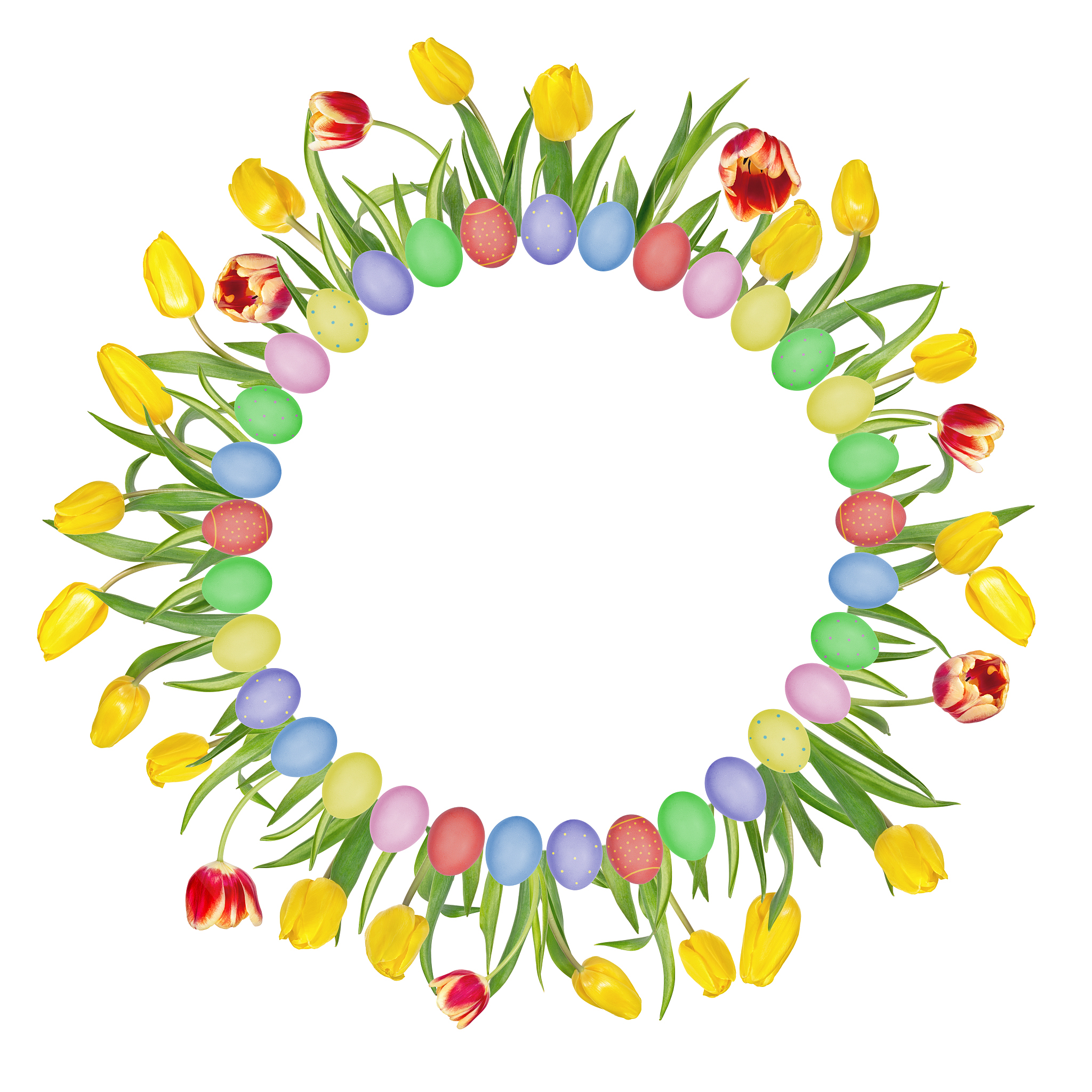 circular floral frame made of beautiful red and yellow tulips an