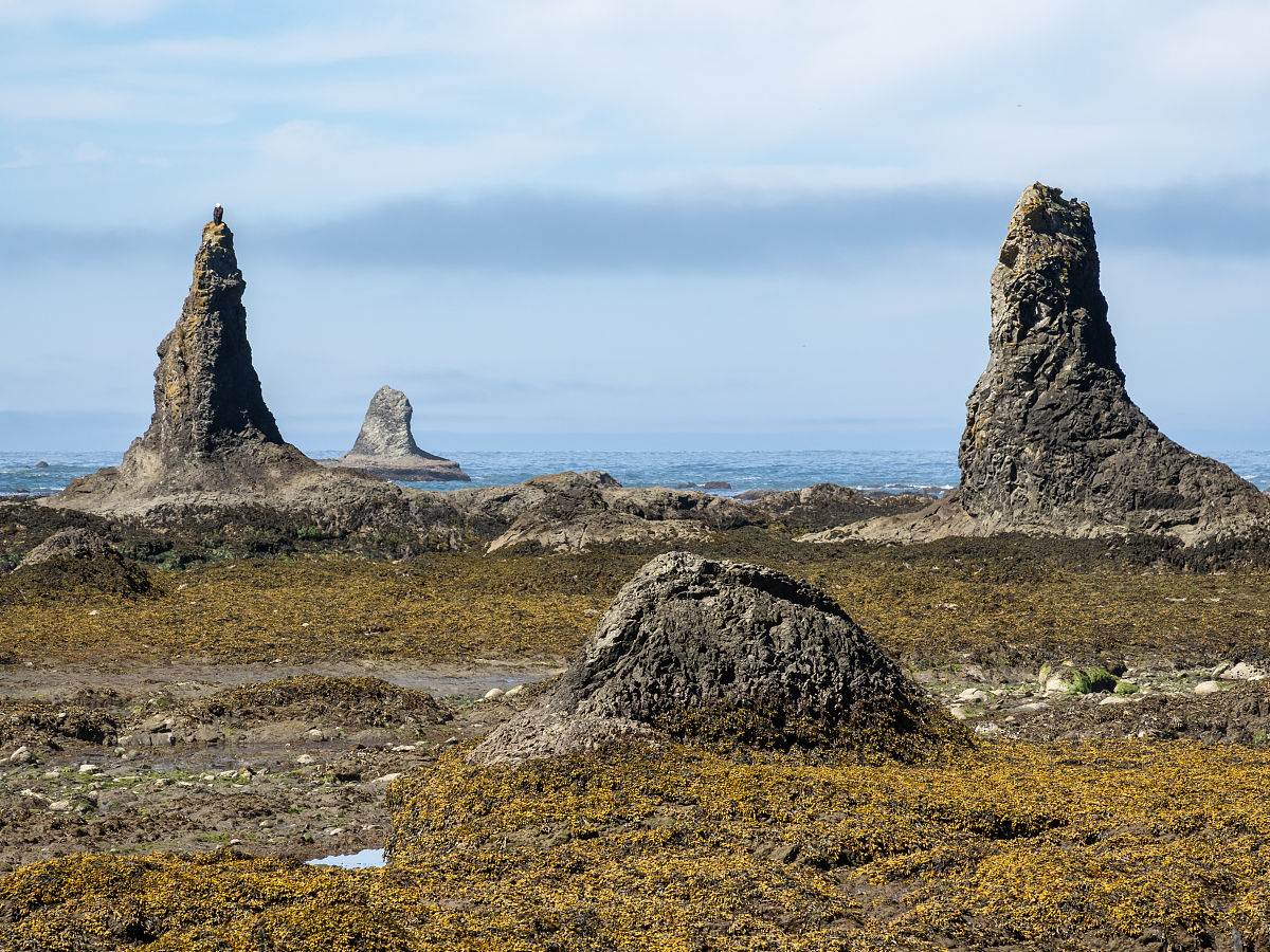 M2分潮：海洋潮汐的主要驱动因素