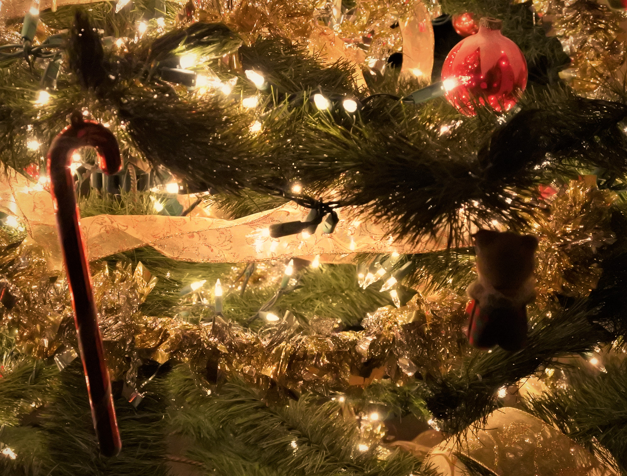 请描写一下一个巫女在一棵参天古树下为一个婴儿祈福的画面