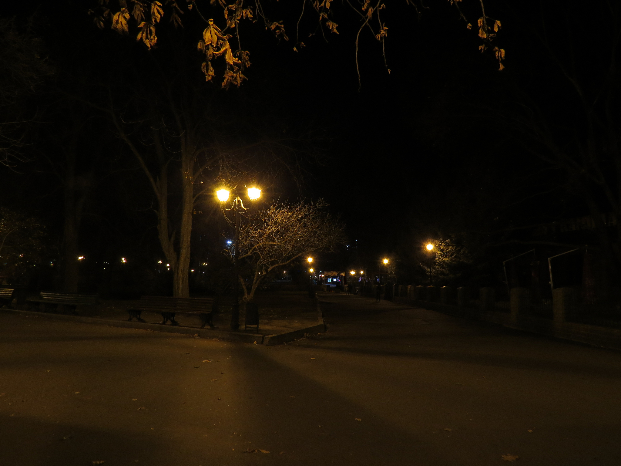 evening walk