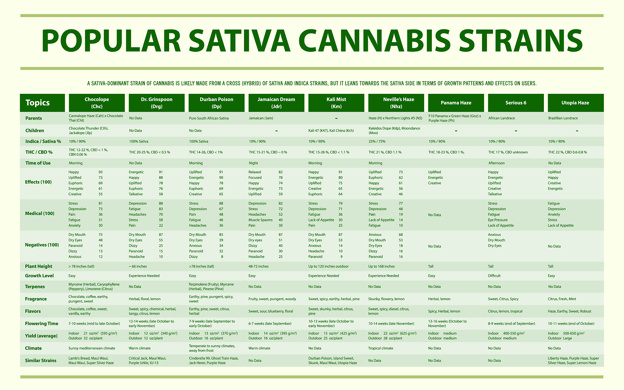 popular sativa cannabis strains horizontal