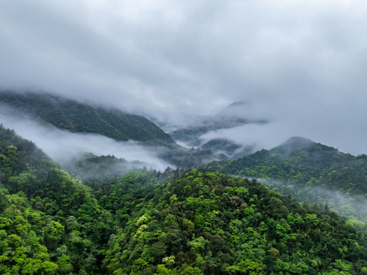 福安白云山旅游攻略,相信能让您,在这里度过一段难忘的旅程