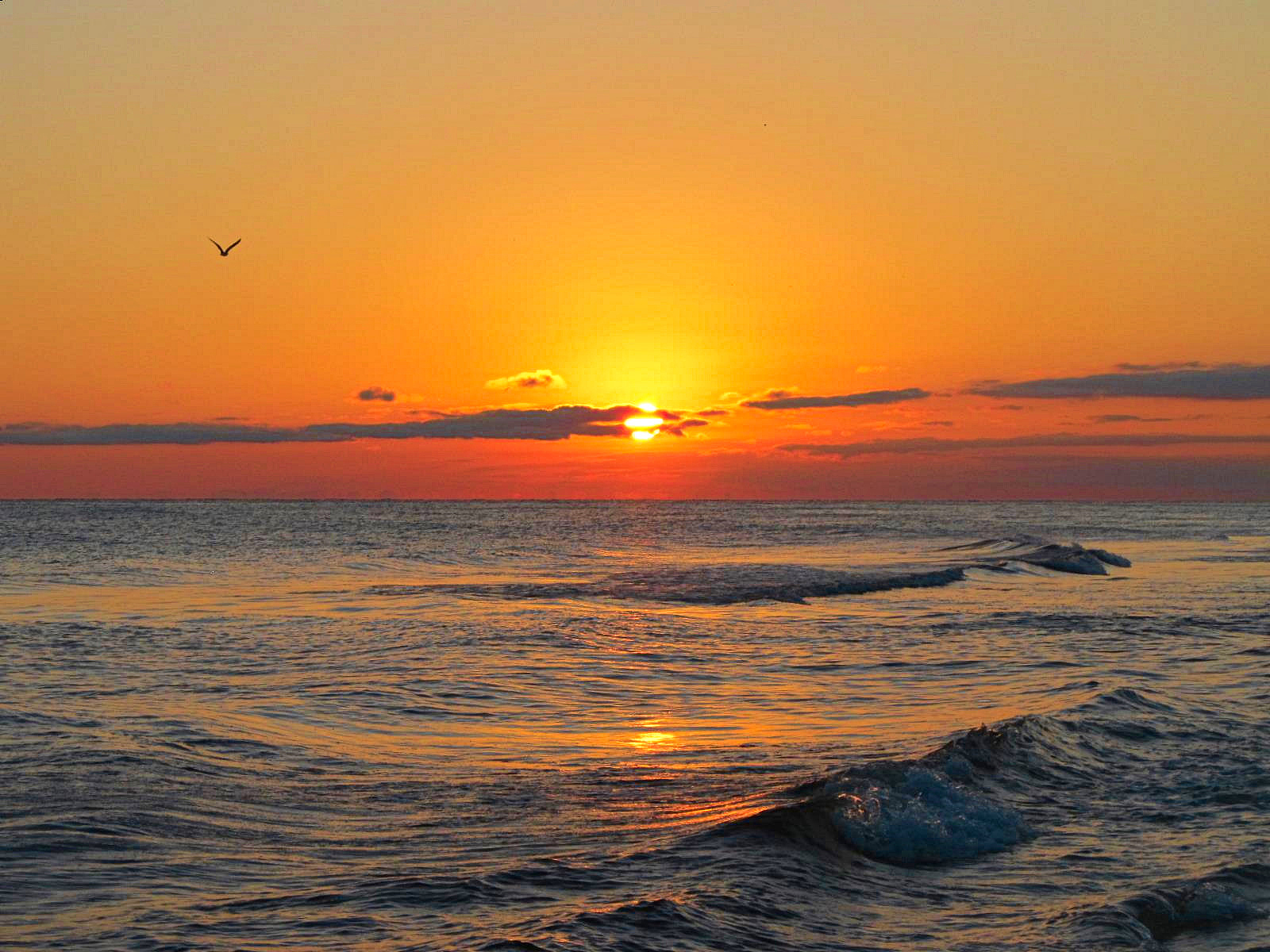 2022年宜春职业技术学院电梯工程技术专业招生