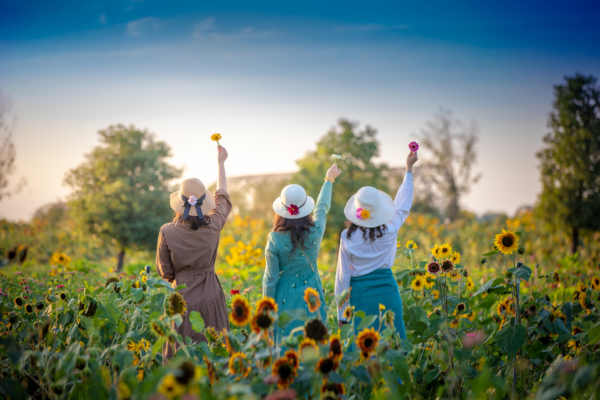美好的一天 限制200字