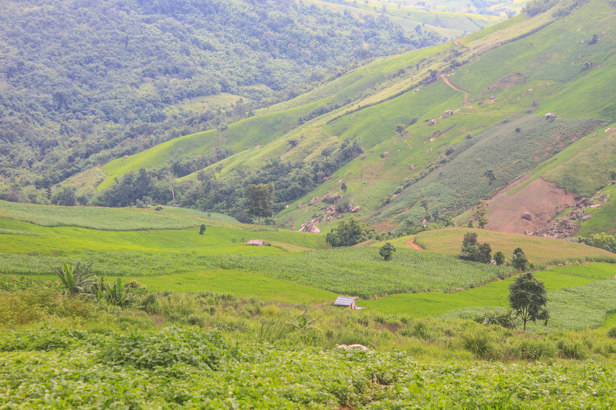 fields in the mountains