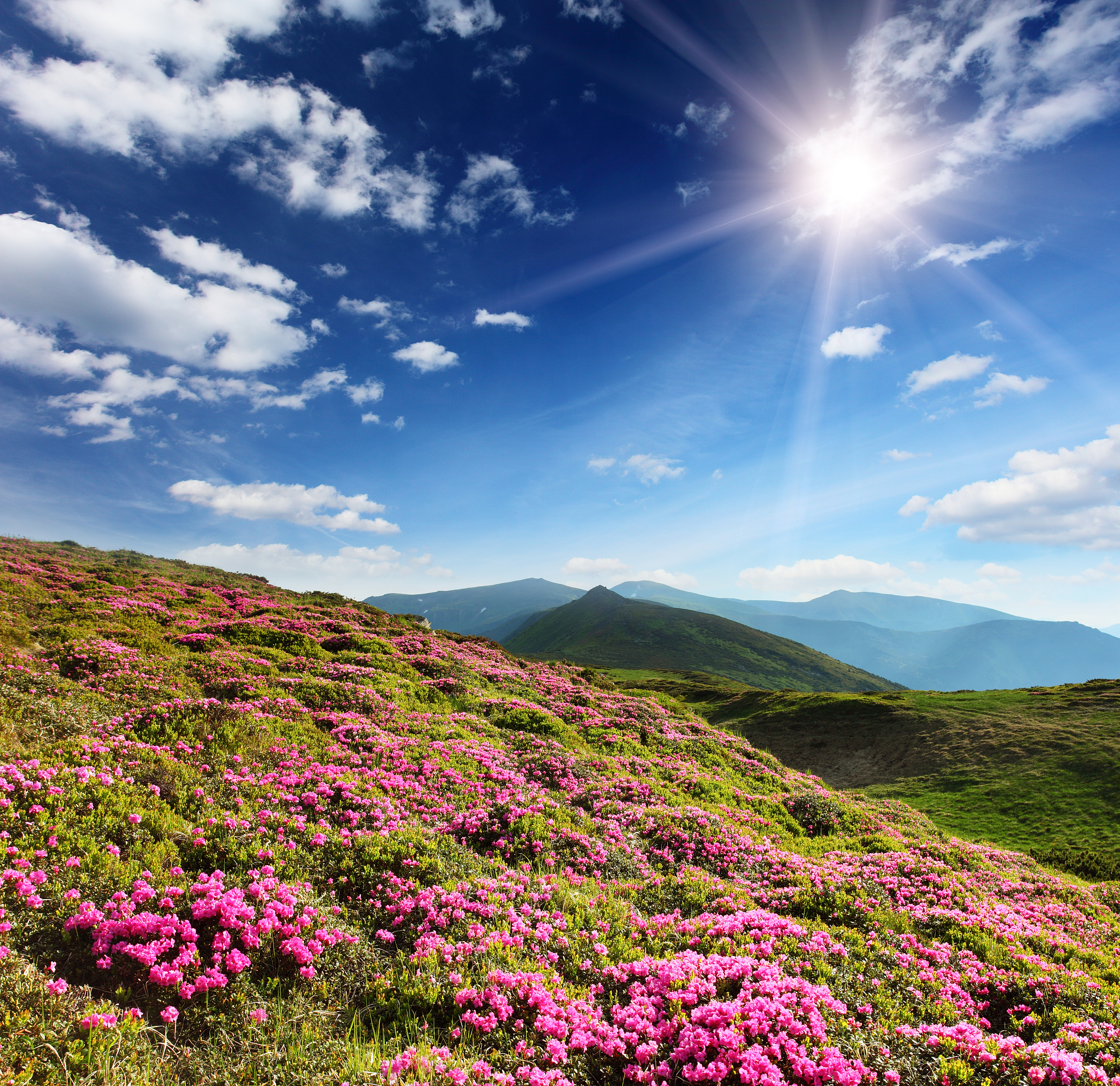 云南昭通大山包的春天写一篇1不少于1000字文章