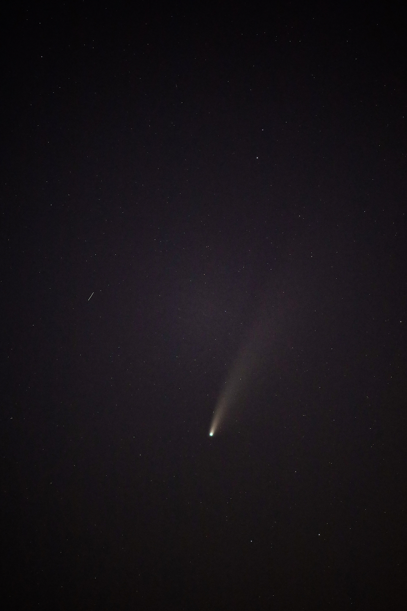comet neowise