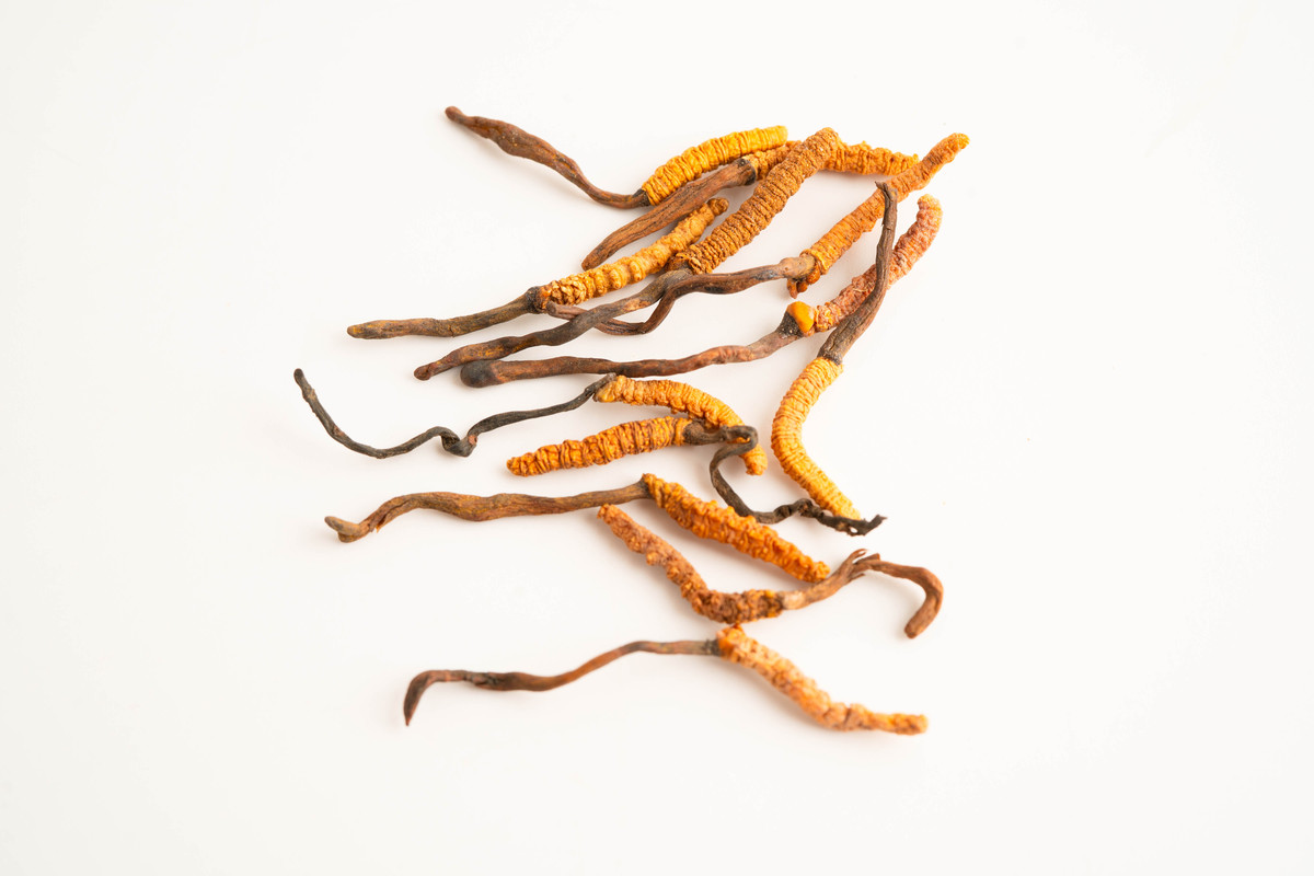 海狗鞭泡酒功效：补血、祛风、养心、散瘀，药中之王？