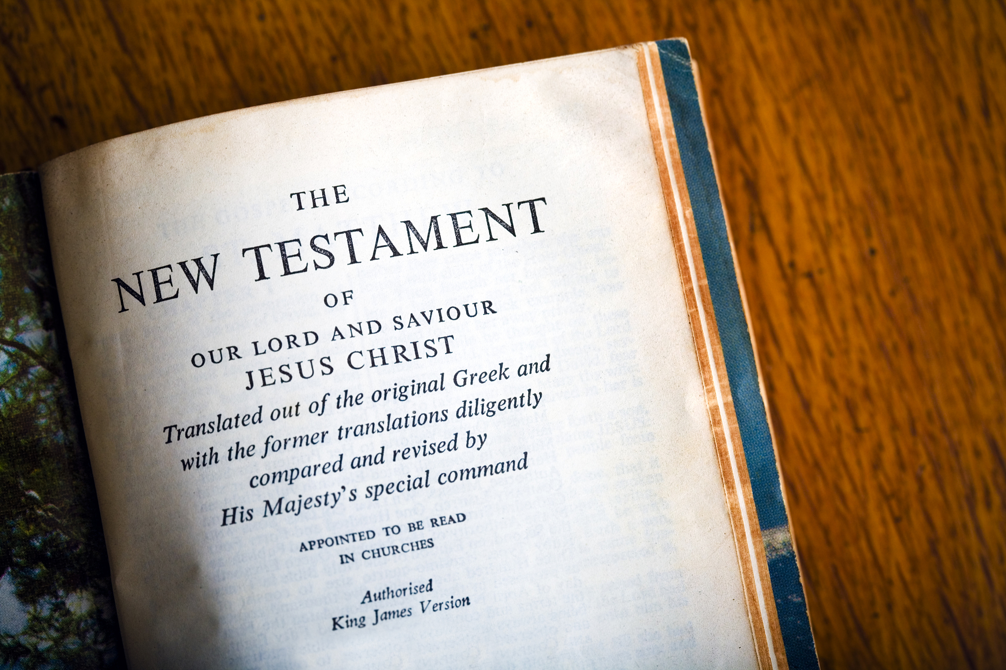 模仿这段话写类似的句子并翻译：The mild beams of sunlight rushed down through the thick leaves kissing me