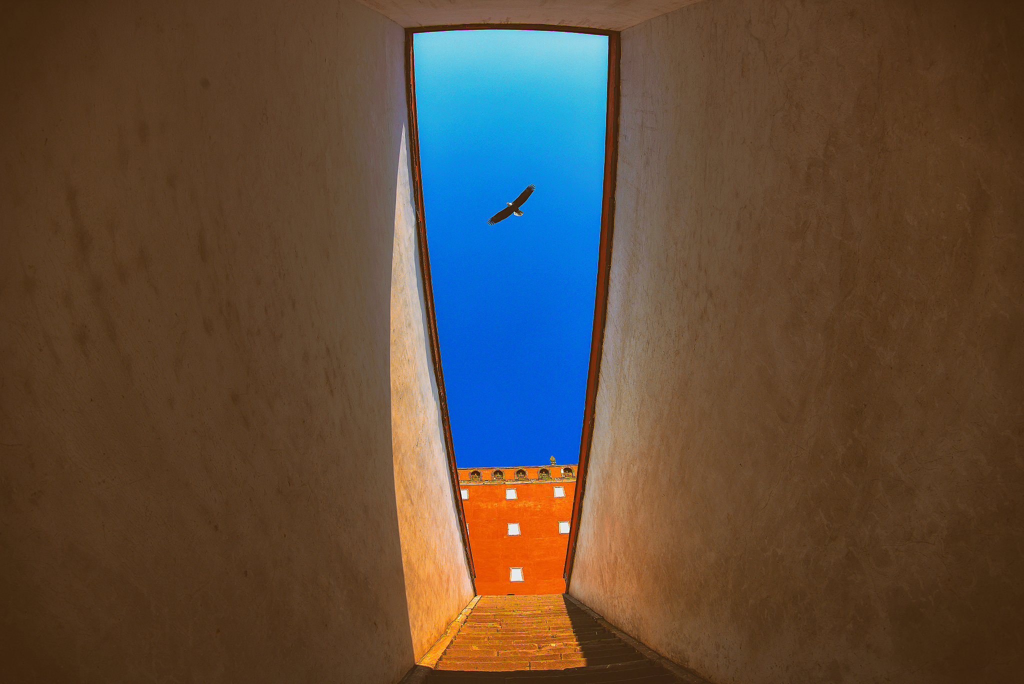 凌霄飞翔：一首描绘雄鹰凌云的古诗